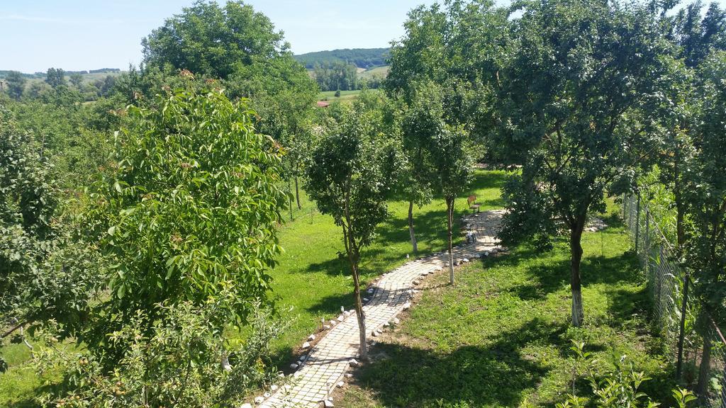 Casa Agnes Vendeghaz Hotel Fantanele  Bagian luar foto